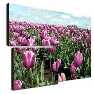 1614936679402605.jpg 0mm液晶拼接屏.jpg